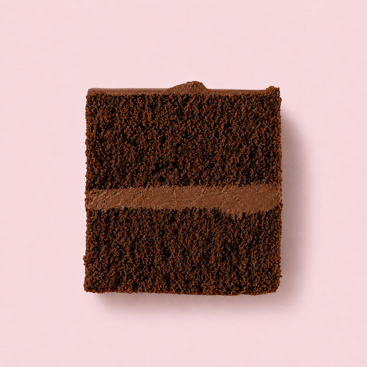 Chocolate cake on the signature Selly pink background